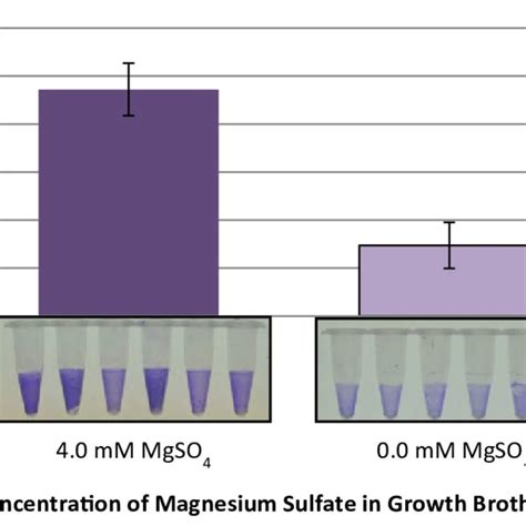 Biofilm maturation assay [12] of Bacillus licheniformis YNP5-TSU grown ...