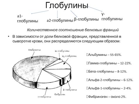 Глобулины презентация, доклад