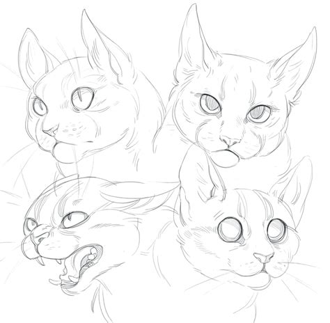 Cat doodles by SHADE-ShyPervert.deviantart.com on @DeviantArt | Cats ...