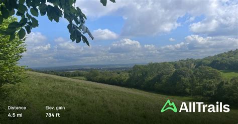 Shipwrights Way Petersfield To Queen Elizabeth Country Park Hampshire