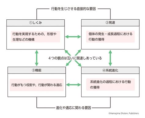 【進化view】行動に対する4つの観点 生物図表オンライン