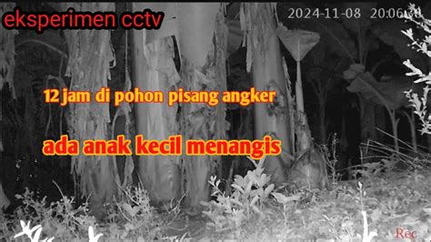 Eksperimen Cctv Jam Di Pohon Pisang Keramat Ada Fenomena Suara Anak