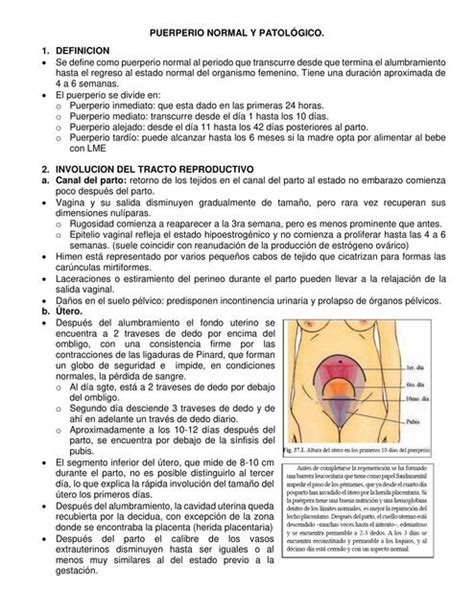 Puerperio Normal Y Patol Gico Daniela Mercado Torres Udocz