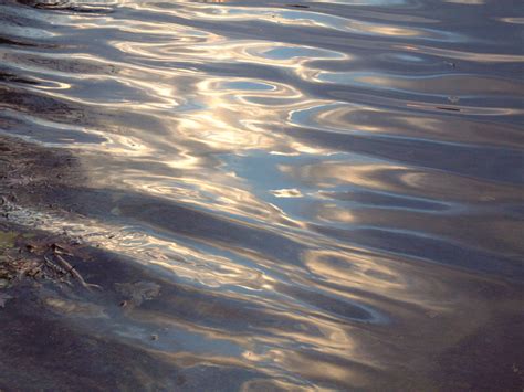 Free Water Ripple Stock Photo - FreeImages.com