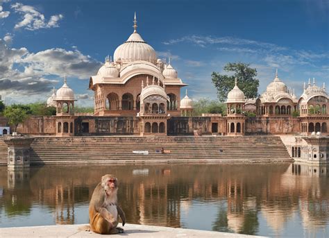 15 mejores excursiones de un día desde Delhi Bookineo