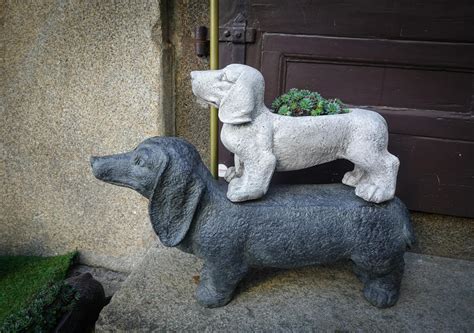 Understanding Dachshunds Pronunciation: A Simple Guide