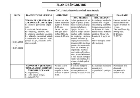 Doc Plan De Ingrijire 2 2