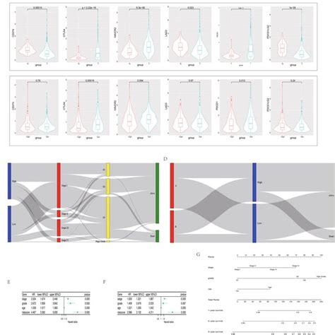 A Comparison Of Immune Checkpoint Expression Levels Between Tumor And