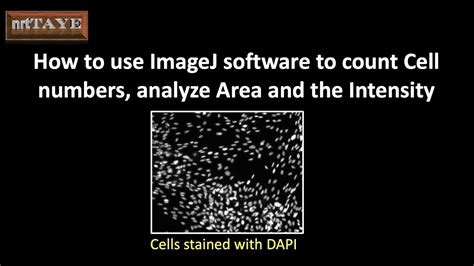 How To Use Imagej Software To Count Cell Numbers Analyze Area And The