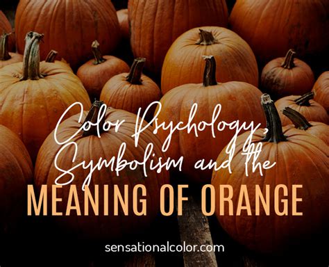 Meaning Of Orange: Color Psychology And Symbolism