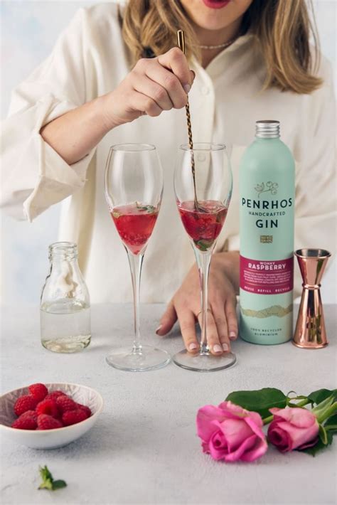 Raspberry Gin Fizz Cocktail Recipe By Penrhos Spirits