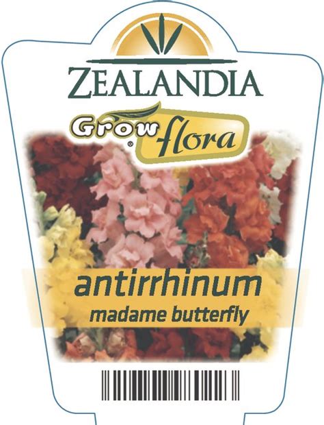 Antirrhinum Madame Butterfly Zealandia Horticulture