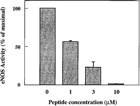 Effect Of A Peptide Corresponding To Caveolin 1 Residues 82101 On ENOS