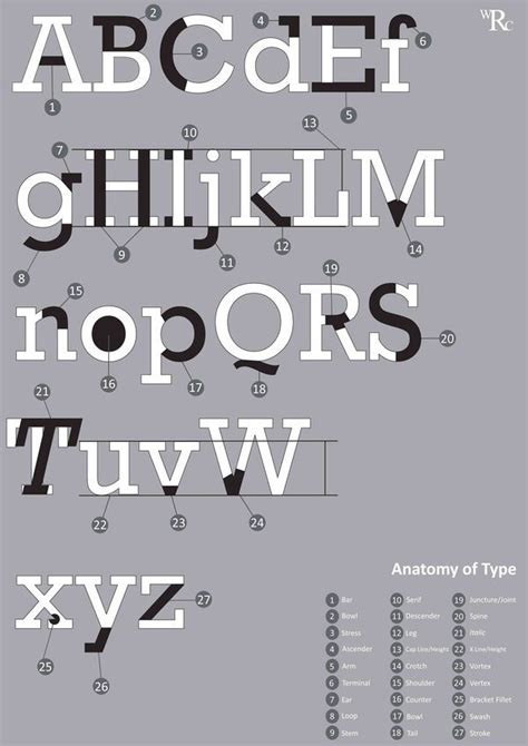 Type Anatomy Rockwell By William Cundall Via Behance Type Anatomy