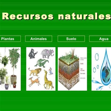 Recursos Naturales Renovables Y No Renovables Pdf 44 Off