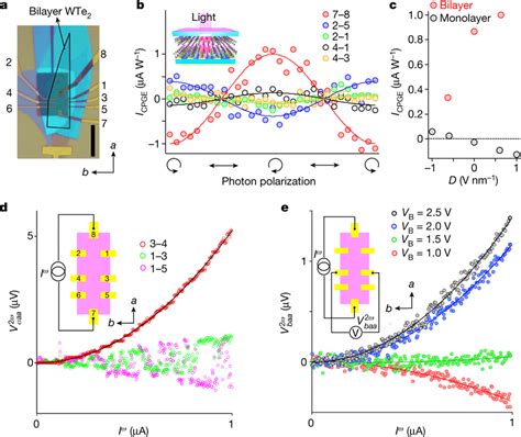 Circular Photocurrents And Nonlinear Transport In Bilayer Wte2 A