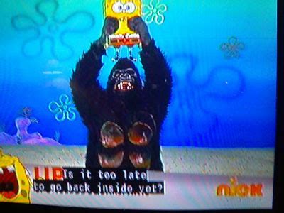 Millions of Monkeys: Gorilla on SpongeBob