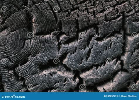 Close Up Of A Charred Wood Texture Stock Image Image Of Burning