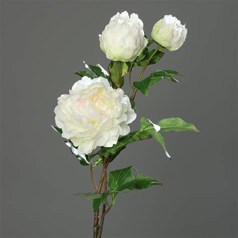 Große Pfingstrose mit 3 Blüten 82cm weiß creme DP Kunstblumen