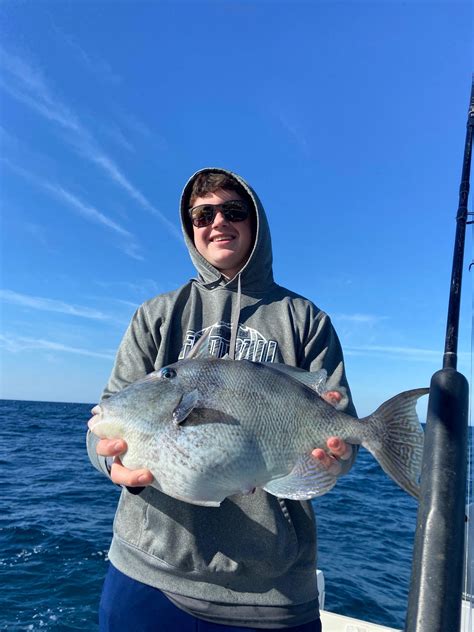 Vermilion Snapper Your Ultimate Guide To This Extraordinary Fish