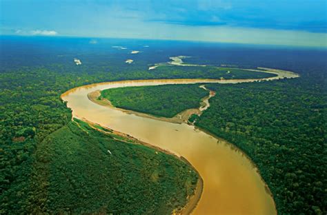 Parque Nacional Del Manu Biodiversidad Extrema The Viajeros