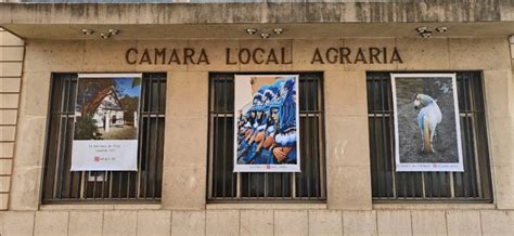 Foto Fòrum organitza una Exposició collectiva Castelló Notícies