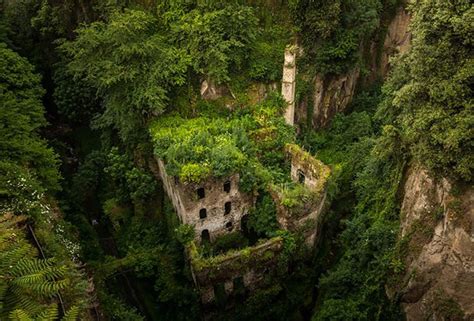 La Nature Reprend Le Dessus Sur La Civilisation En Photos