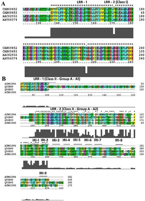 Classification Of Plant Antifreeze Proteins With Reference To The LRR