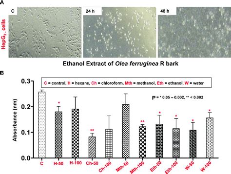 Cell Survival And Cytotoxicity Assay Of The Hepg2 Cells A Morphology