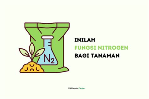 Fungsi Nitrogen Bagi Tanaman