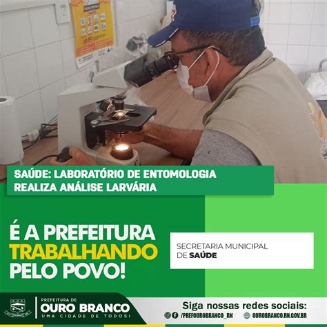 Saúde Laboratório De Entomologia Realiza Análise Larvária Prefeitura