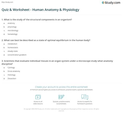 Anatomy And Physiology Worksheets Answers