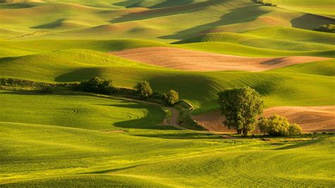 Rolling Green Hills Wallpaper Backiee