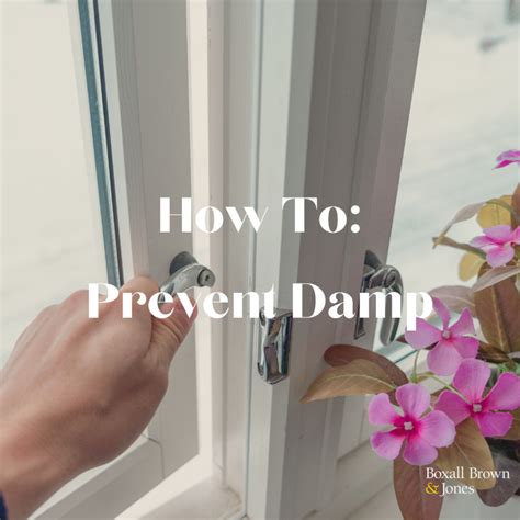 How To Prevent Damp And Condensation Boxall Brown And Jones