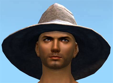 Wizards Hat Skin Guild Wars 2 Wiki Gw2w
