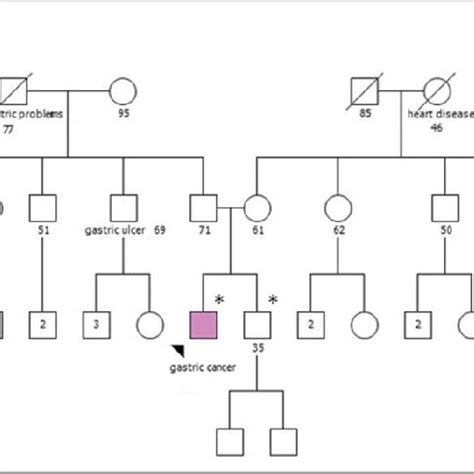 Schematic representation of the CDH1 gene mutation and parallel... | Download Scientific Diagram