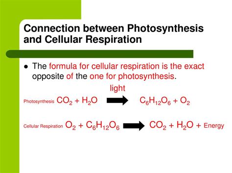 Photosynthesis And Cellular Respiration Ppt Download