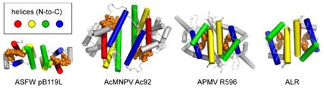 Chemistry And Enzymology Of Disulfide Cross Linking In Proteins Pmc