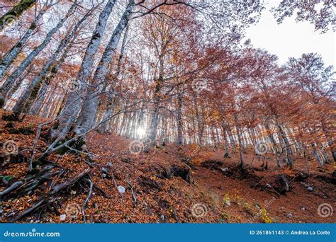 Forca D Acero Abruzzo National Park Italy Stock Image Image Of