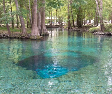 The Best List of Caves in Florida - World of Caves