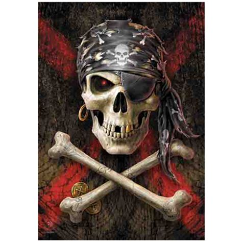 Anne Stokes Pirate Skull Flag Swag Loudtrax