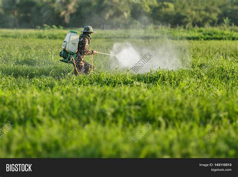 Farmer Spraying Insecticides