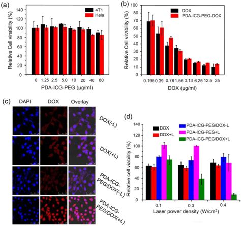 In Vitro Combination Therapya Relative Viabilities Of 4t1 Cells And