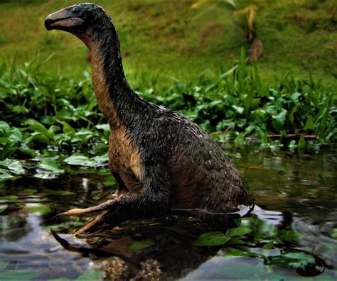 Therizinosaurus By Zoome3 On Deviantart