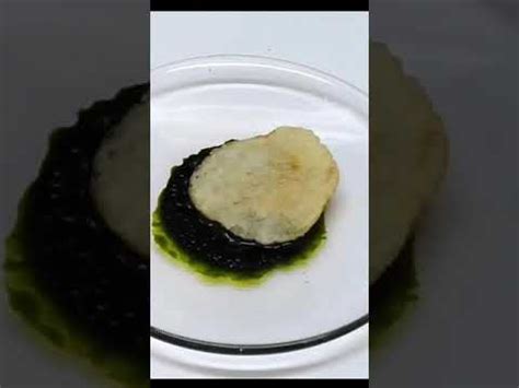 explosive compund ( Mn2O7) 🤔🤔covalent green oil nature - YouTube