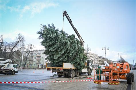 Częstochowa Choinka stanęła już na placu Biegańskiego Wkrótce miasto