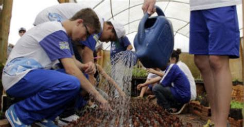 G Projeto Florir Distribui Mudas De Plantas Medicinais Em Toledo