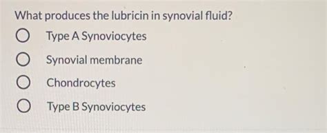 Solved What Produces The Lubricin In Synovial Fluid O Type