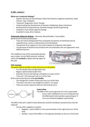 Molecular Cell Biology Lecture 9 Notes MCB Lecture 9 Mechanistic