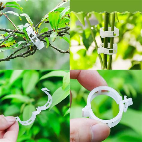 Tuteur Lien Attache Clips De Support Pour Plantes De Jardin Ficelle